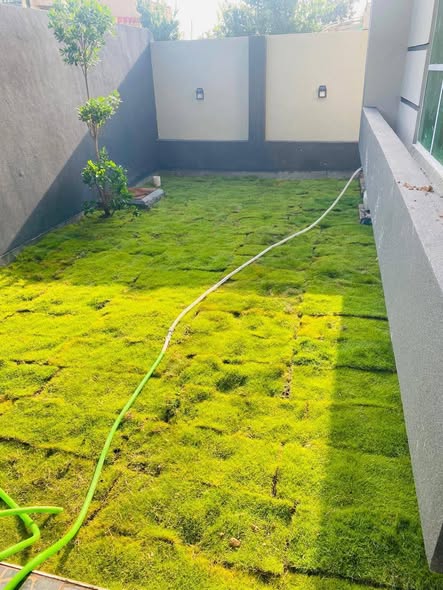 652332931_4437107309902969_3316489411883415104_n