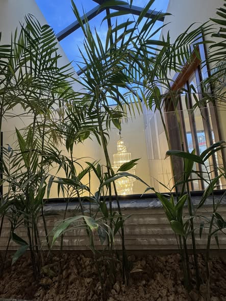 652496784_122283817244168923_8751471653254996948_n