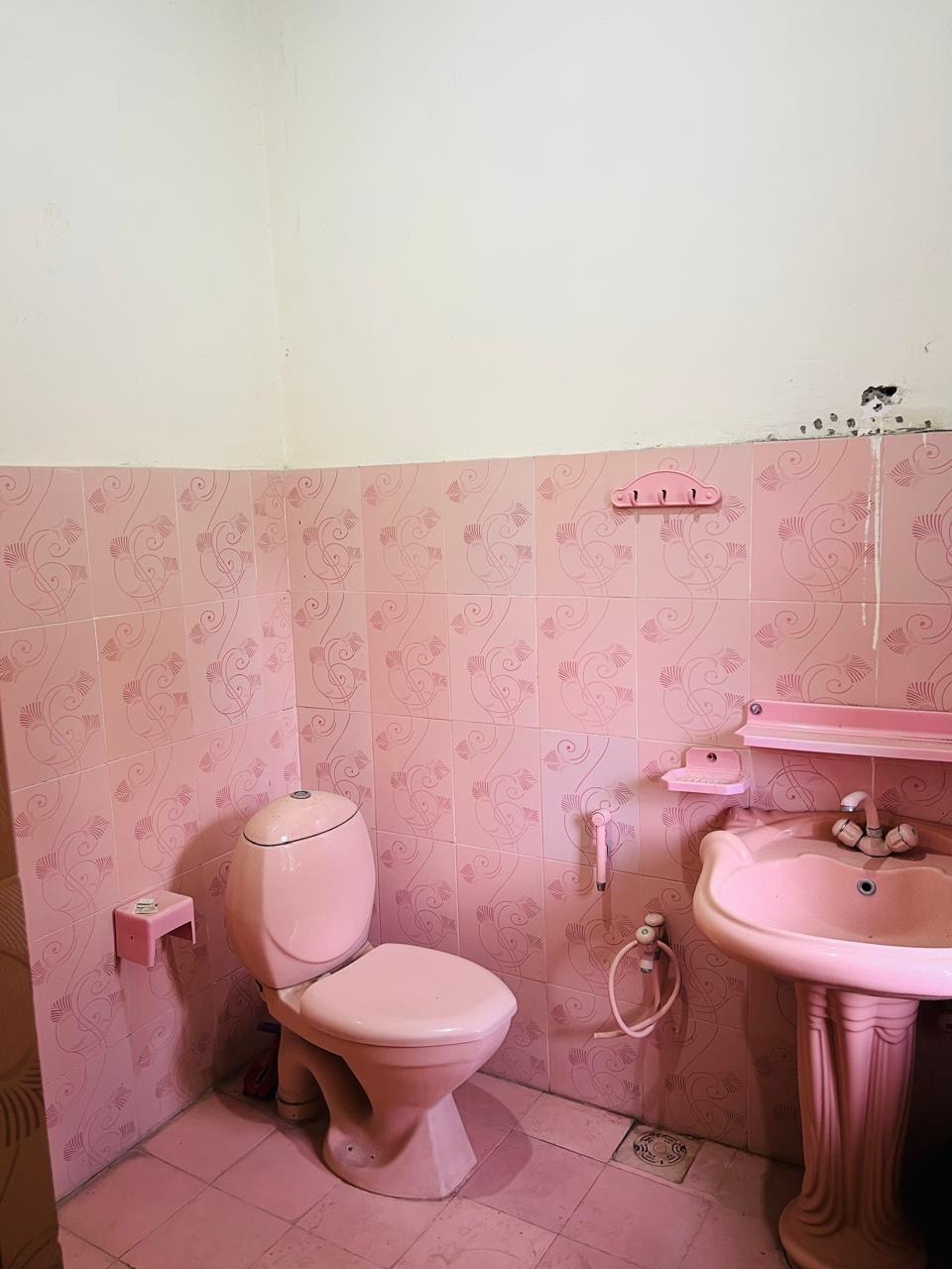 531054764_739336938852666_2701289401724079332_n