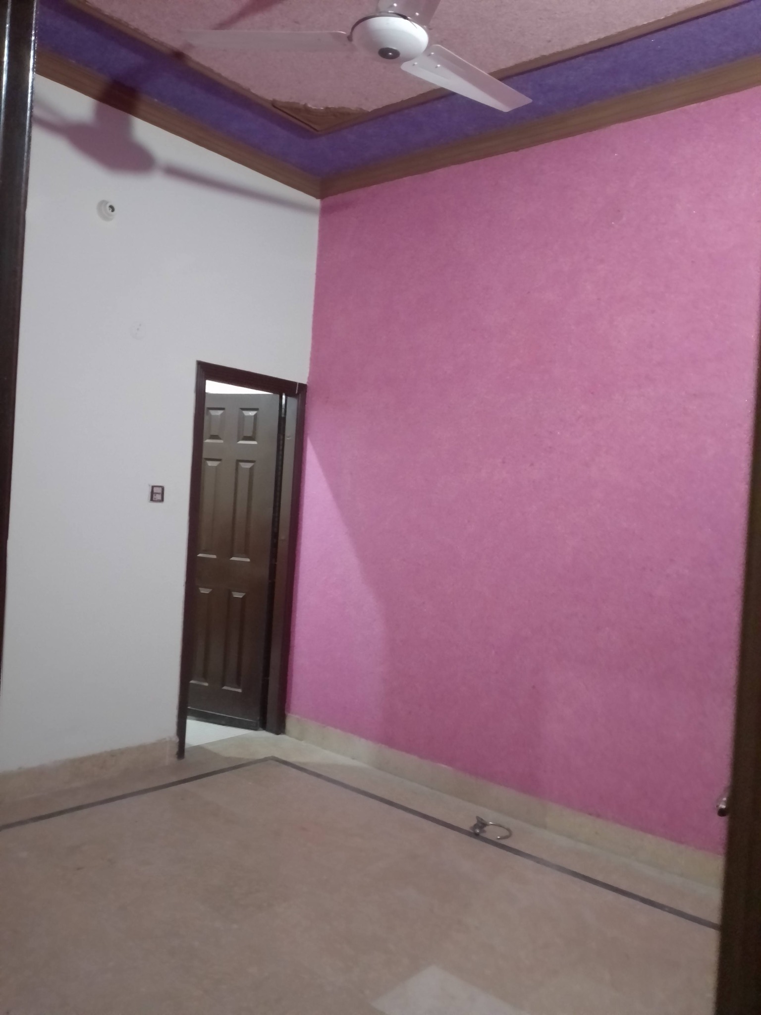 653703316_2410377639408062_3145418395917306259_n