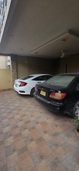 671635513_1293645946204122_115439675809046792_n