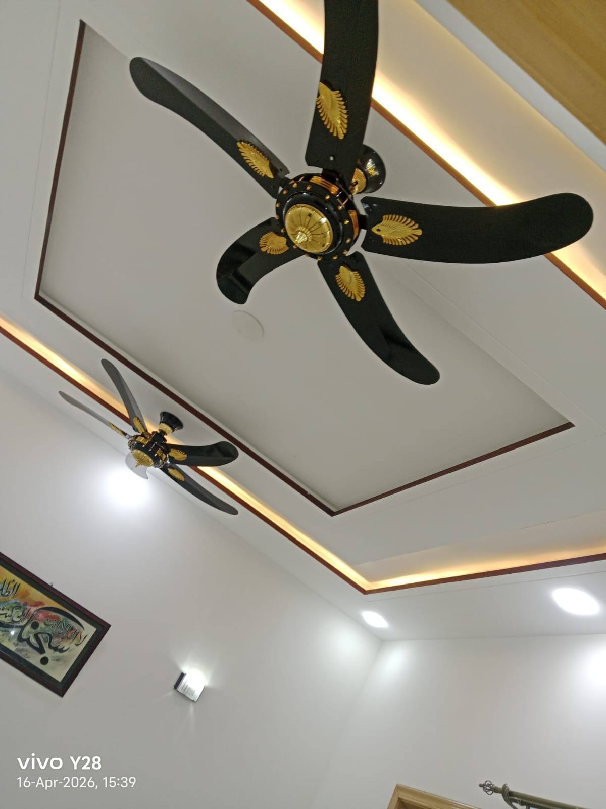 672684149_4225198254364780_5273012240703456440_n