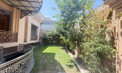IMG_0229-1