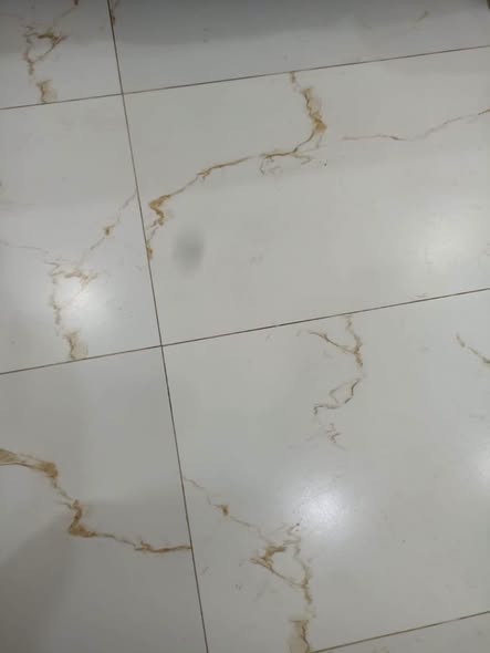 743306029_1311104554264459_3668548195582298936_n