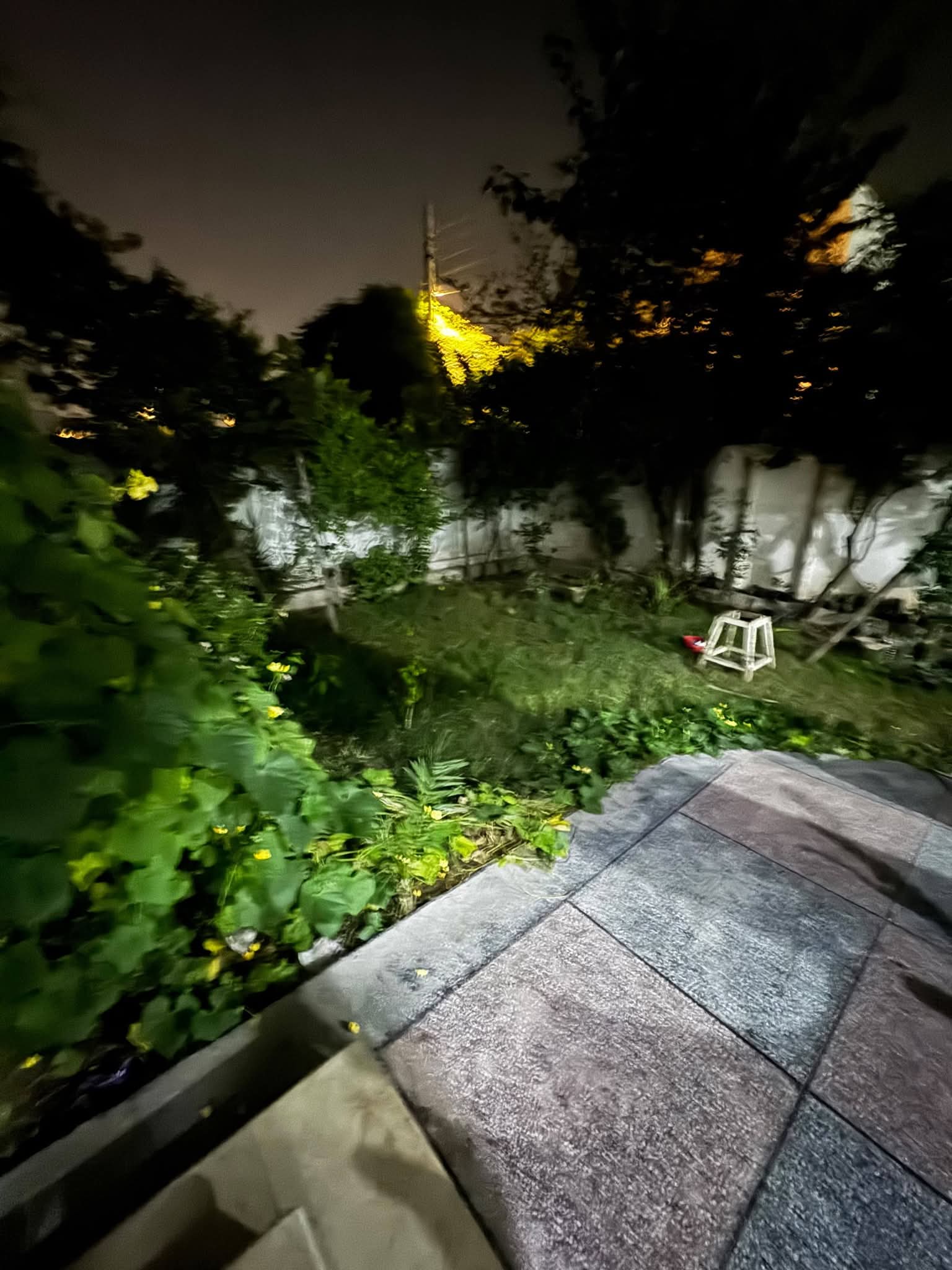 1000035747